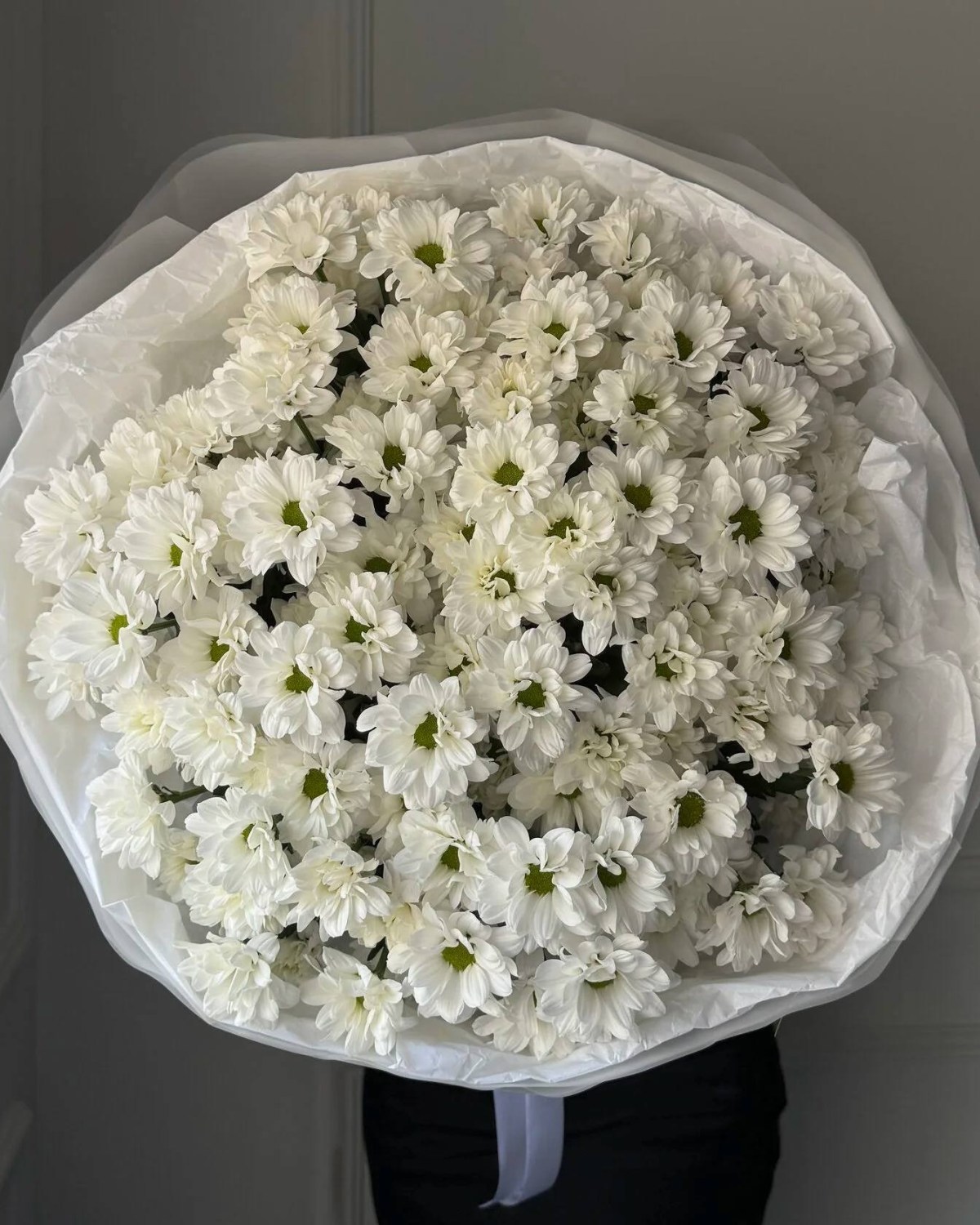 photo_2025-08-05_21-26-24